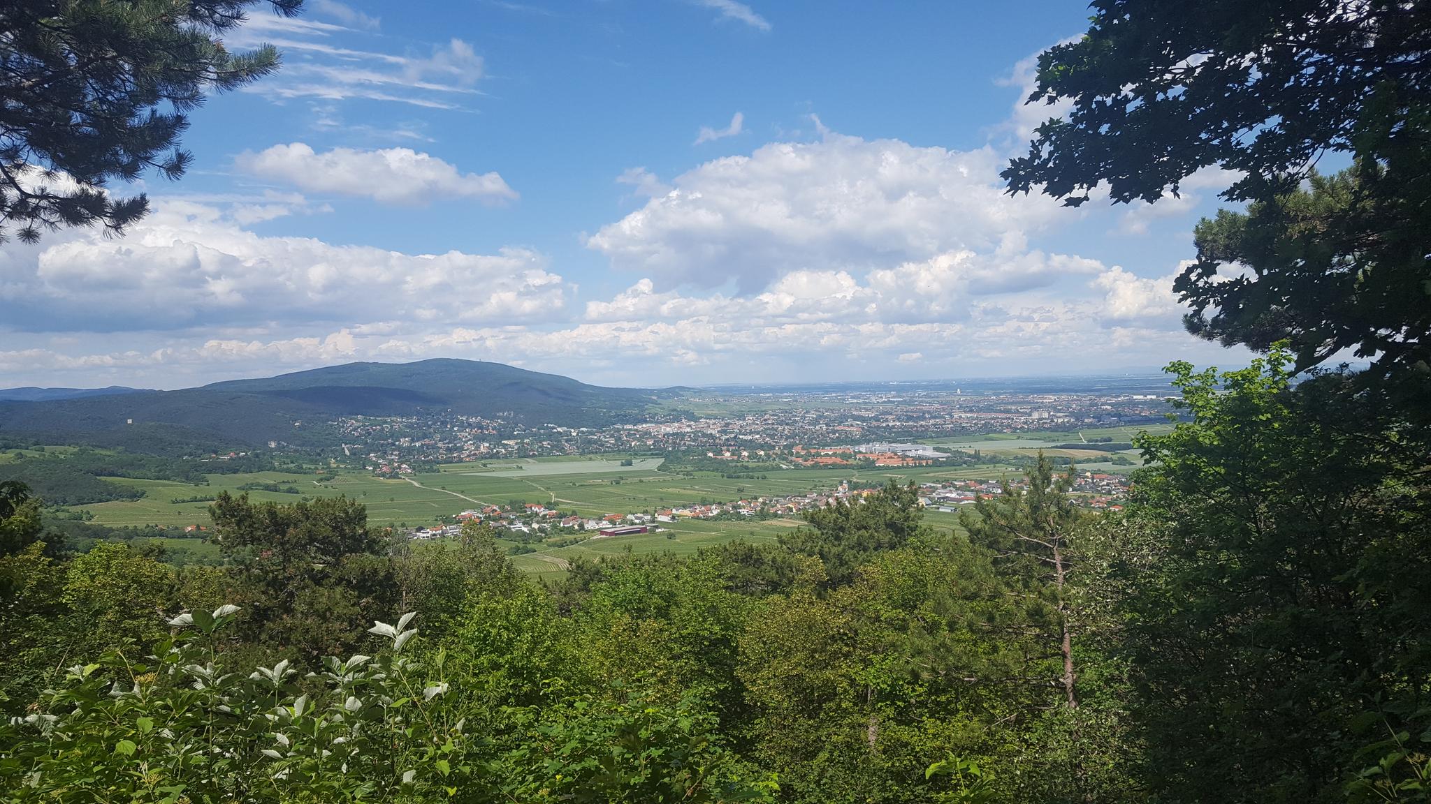 Die 10 Schönsten Wanderungen In Baden | Komoot