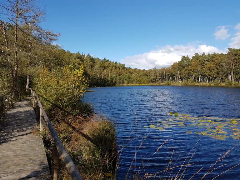 Die 20 schönsten Wanderungen an der Mecklenburgischen Seenplatte 🚶 🏔