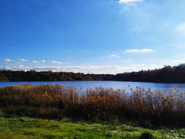 Les plus belles promenades et randonnées autour de Vieilles-Maisons-sur ...