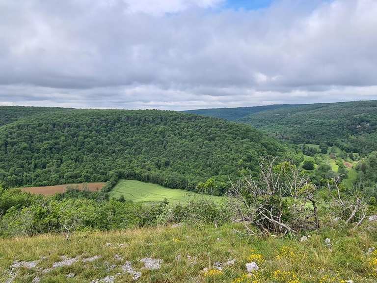 The best walks and hikes around Vernot | Komoot