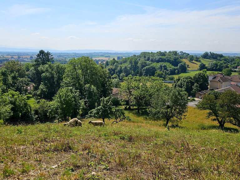 Top 10 Hikes and Walks around Pérouges | Komoot