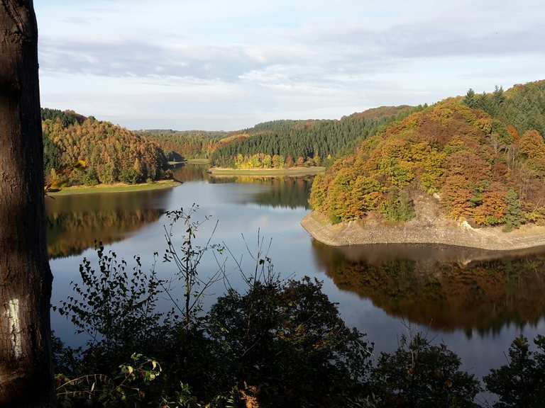 Die 10 schönsten Wanderungen im RheinSiegKreis Komoot