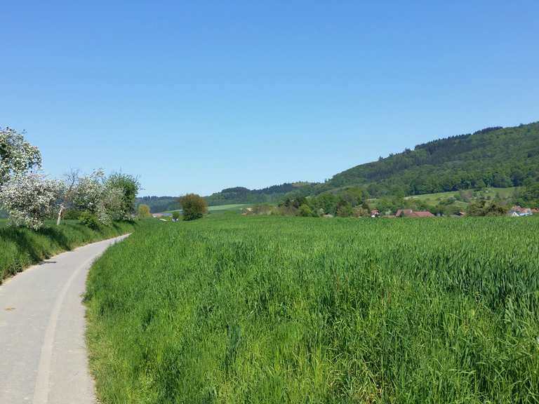die schoenste strecke mit dem fahrrad heidelberg