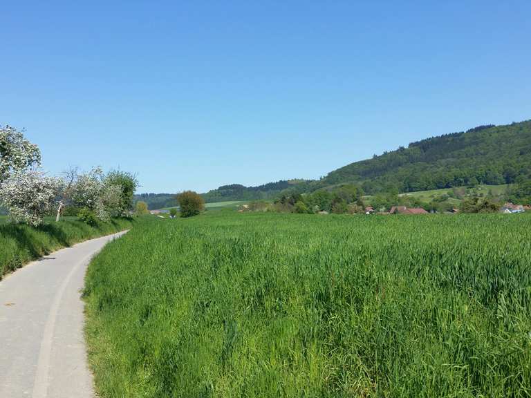 die schoenste strecke mit dem fahrrad heidelberg