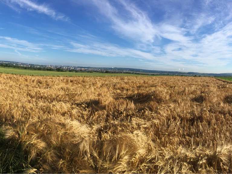 Top 20 Bike Rides and Cycling Routes around Esslingen Komoot