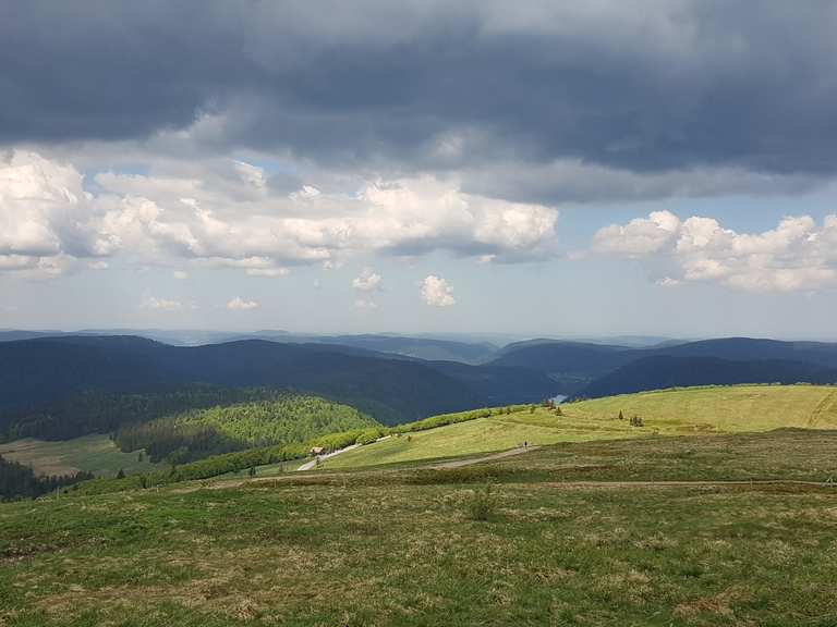 Top 20 Hikes and Walks around Mittlach Komoot