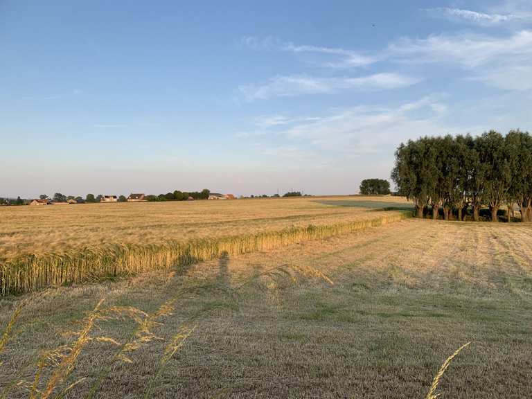 Les 20 meilleures attractions et ce qu'il faut voir autour de Roubaix ...