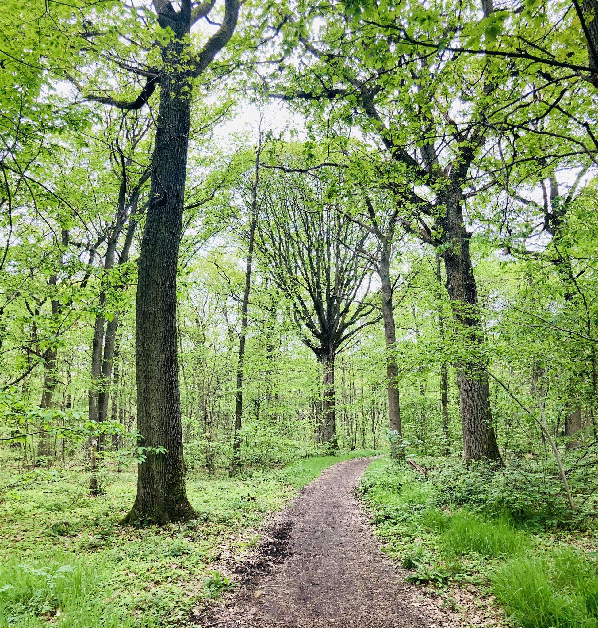 Montigny-le-Bretonneux Park
