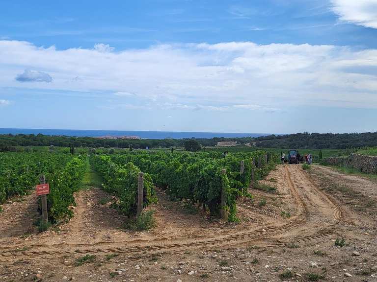 les-plus-belles-promenades-et-randonn-es-autour-de-argel-s-sur-mer-komoot