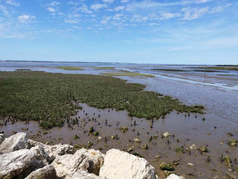 Attractions and Places To See around Bordeaux - Top 20 - Komoot