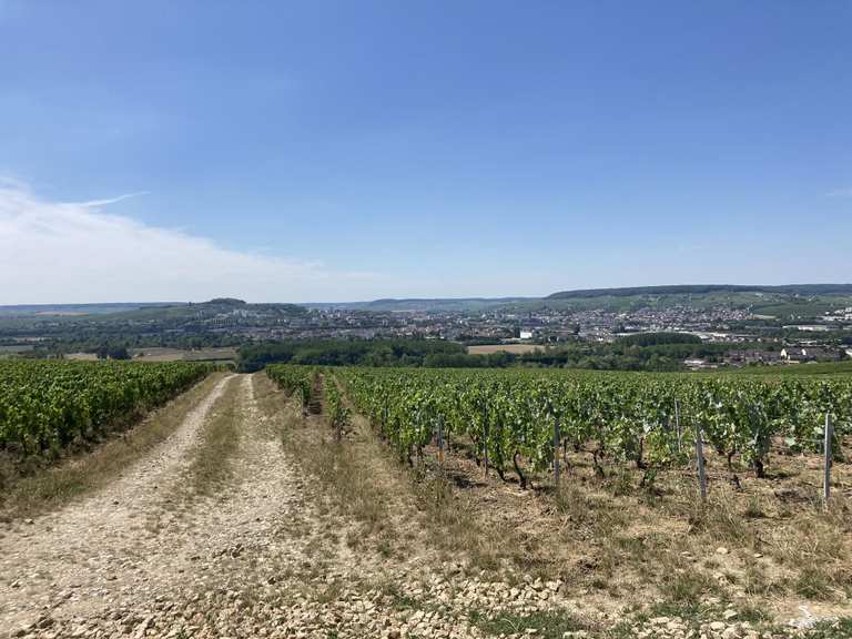 Ausflugsziele rund um Bar-Sur-Aube - Die Top 20 | Komoot