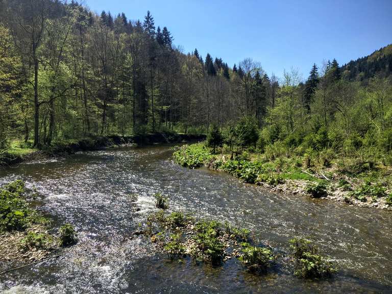 negativ forbandelse Rejsende købmand Top 20 Hikes and Walks in the Hochschwarzwald | Komoot