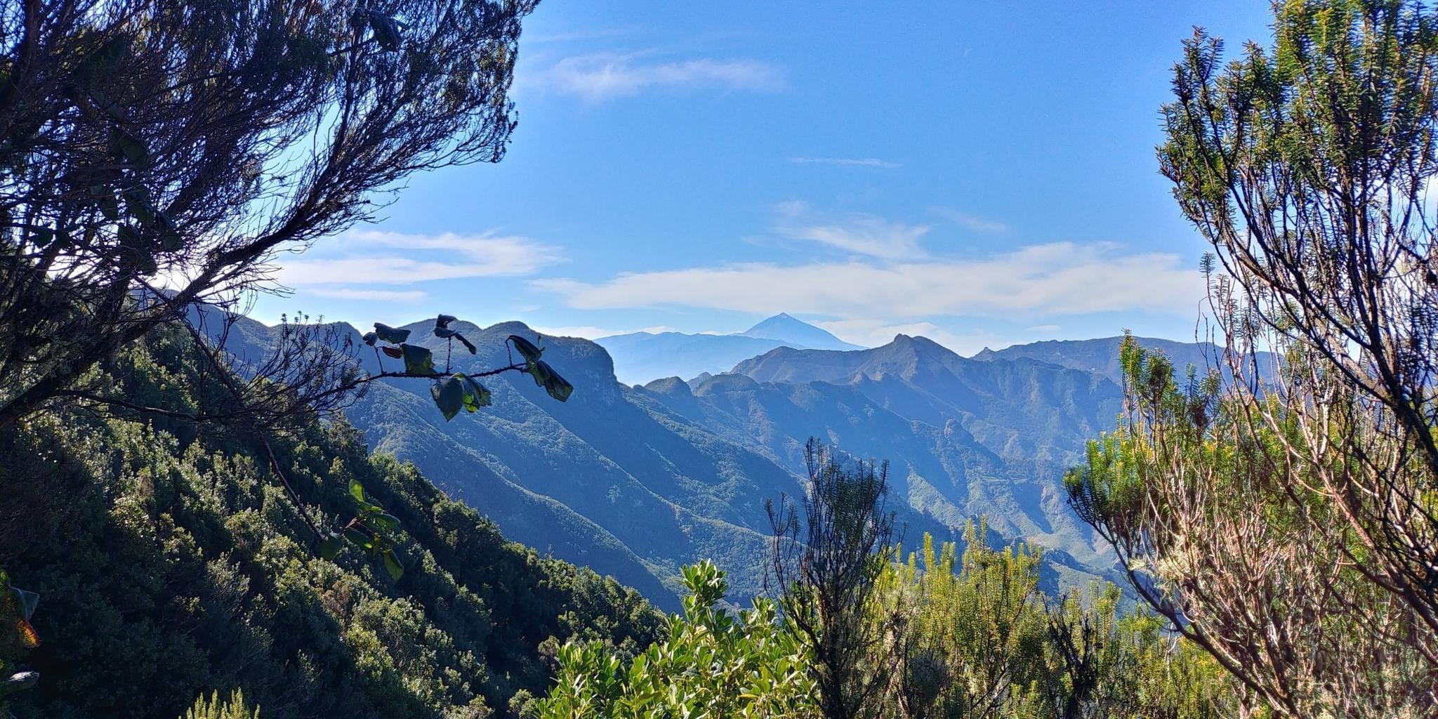 Las 20 Rutas De Senderismo Más Top En Santa Cruz De Tenerife | Komoot