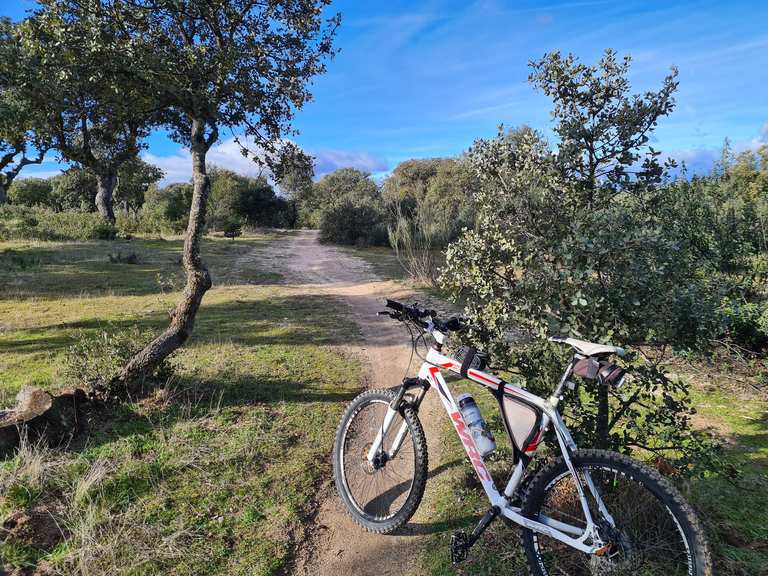 Las 10 rutas en MTB m s top en Alcorc n Komoot