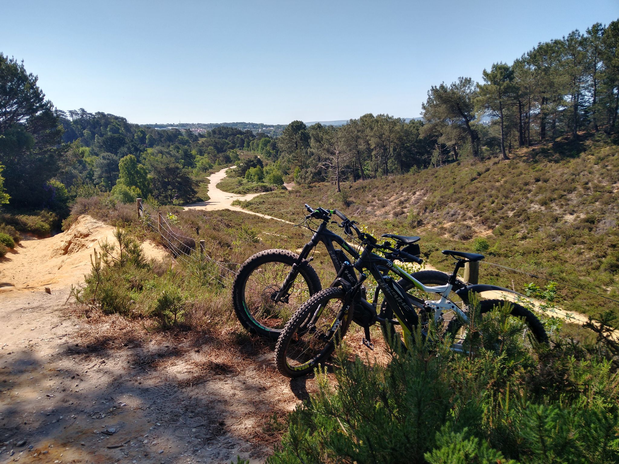 Mountain bike trail parks near me hotsell
