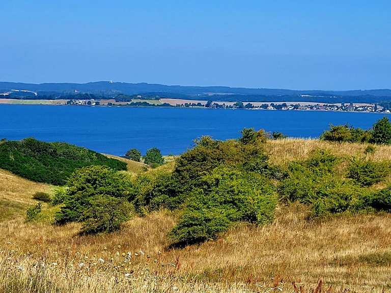Zicker See