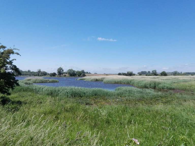 Die 5 schönsten Wanderungen rund um die Schoritzer Wiek Komoot