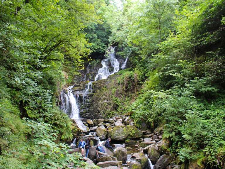 Top 11 Hikes And Walks Around Killarney National Park Komoot