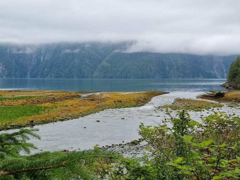 The best MTB trails in British Columbia | Komoot