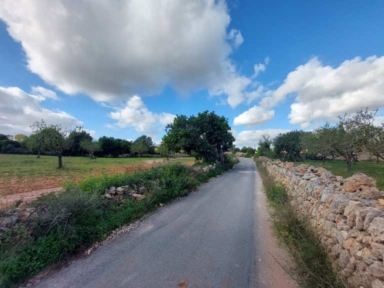 Die 10 schönsten Rennradtouren rund um den Parc natural de Mondragó