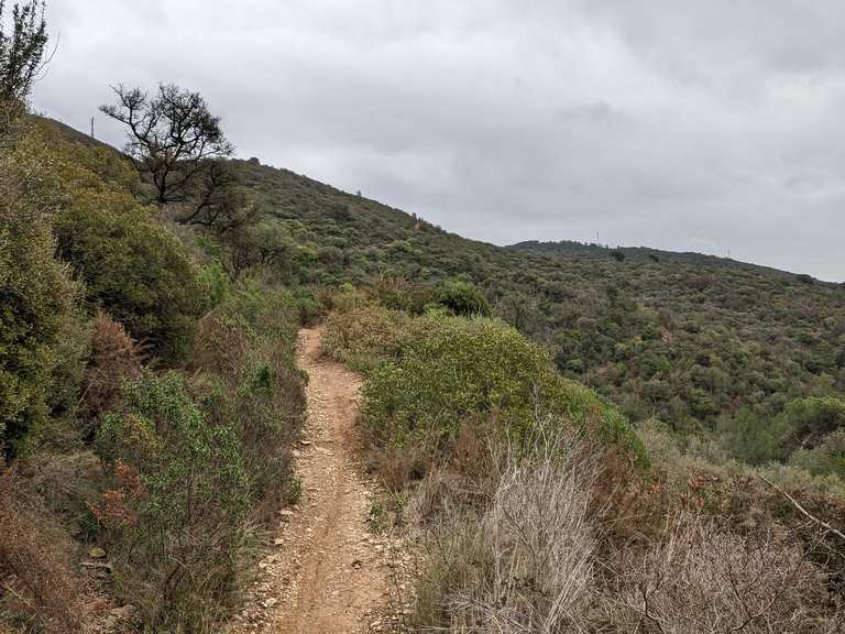 Rutas best sale collserola mtb