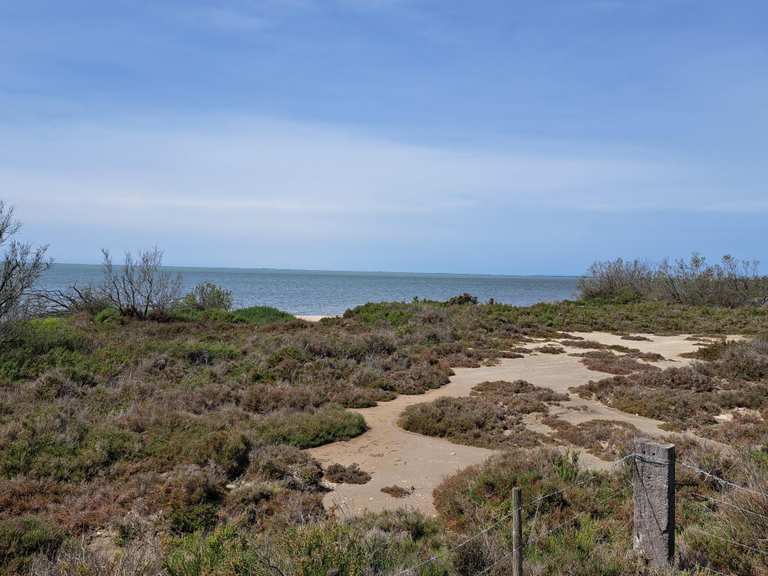The best cycling routes around Réserve naturelle de la Tour du Valat ...