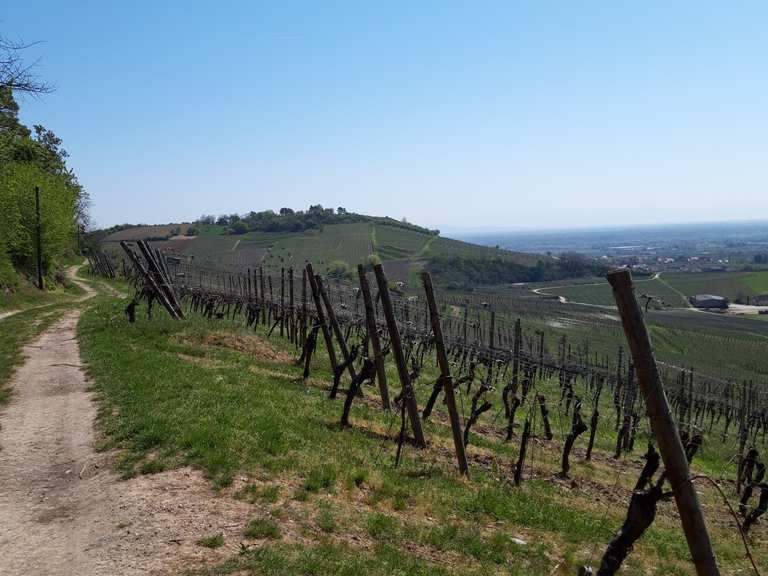 Top 10 rando VTT et circuits dans la Réserve naturelle du Ried de