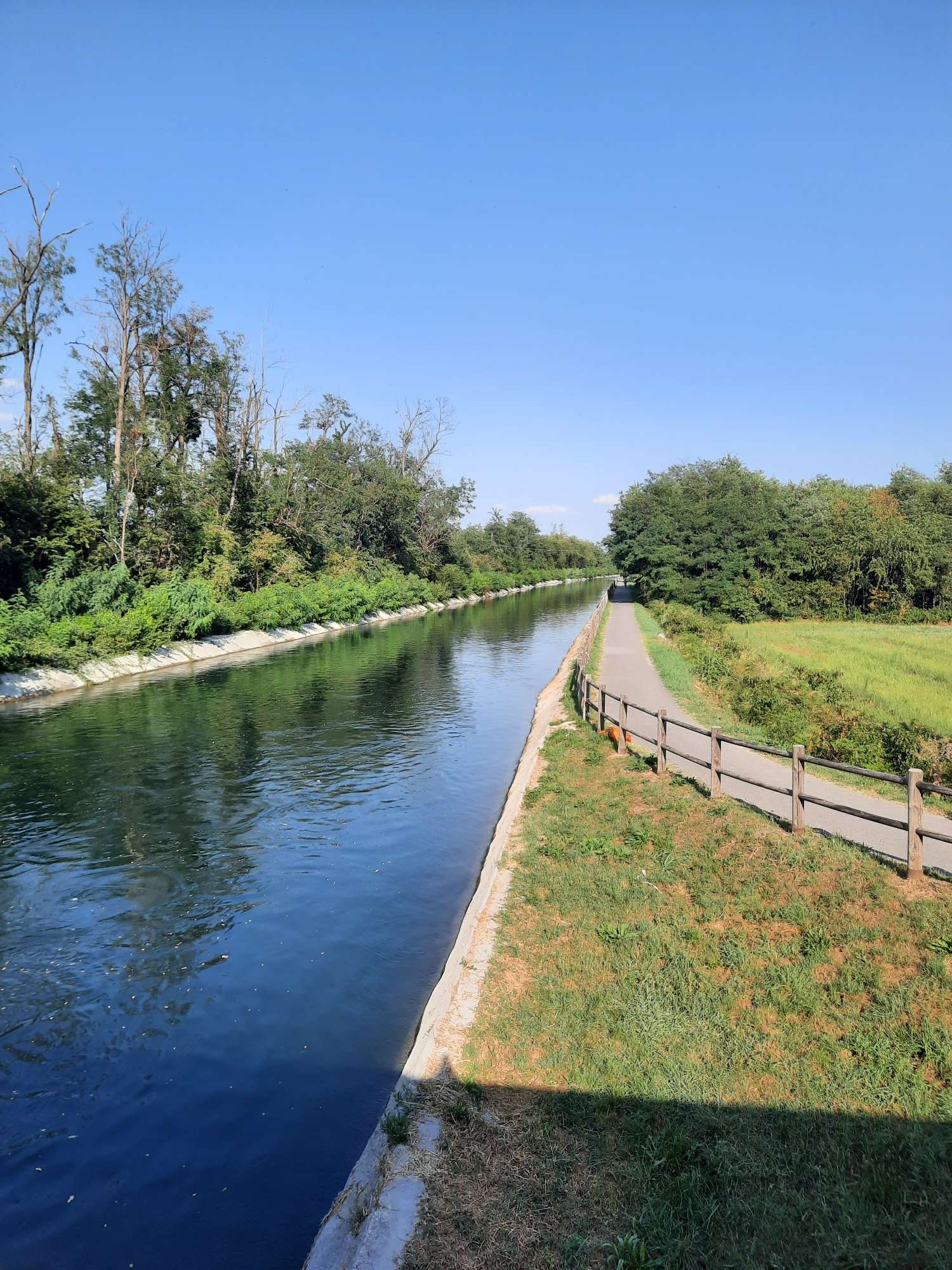 I 10 itinerari e percorsi MTB migliori nei dintorni del Parco del ...