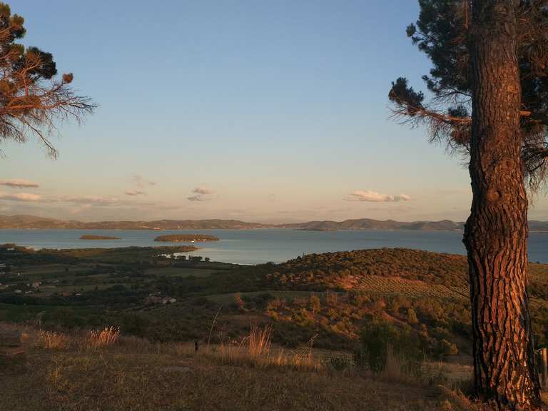 Top 10 Hikes and Walks around Parco del Lake Trasimeno