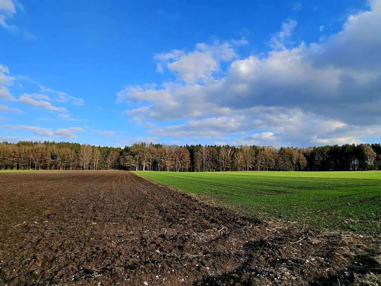 Die schönsten Wanderungen rund um Buch am Buchrain | Komoot