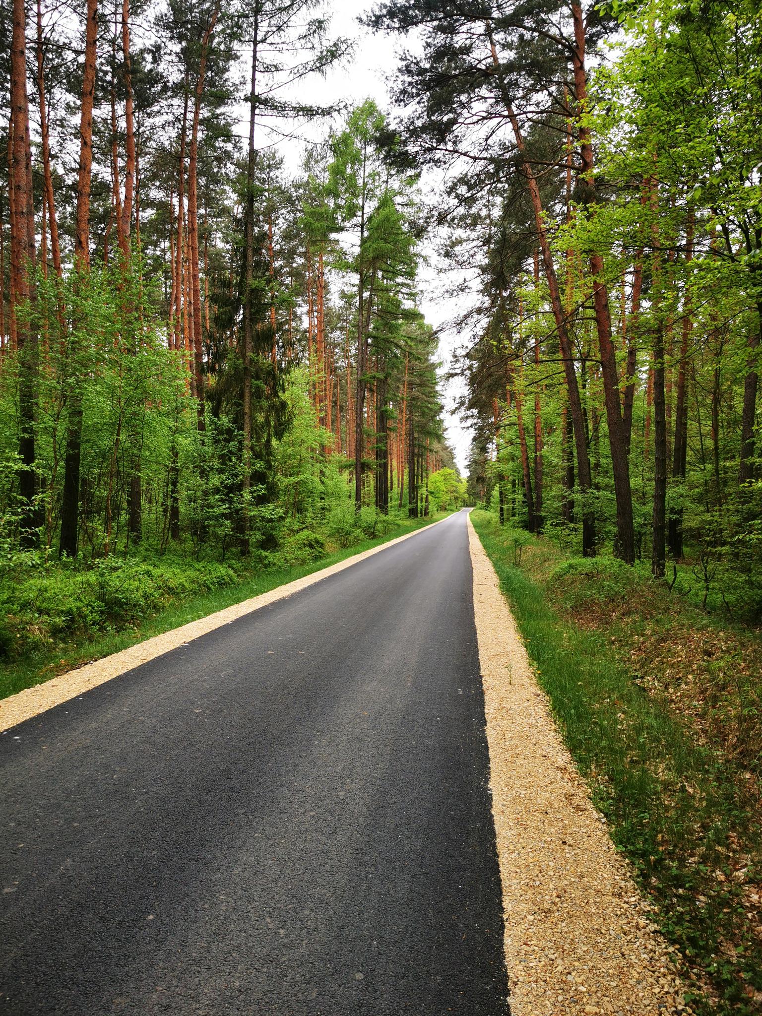 Top 20 Most Beautiful Road Biking Routes Around Cysterskie Kompozycje ...