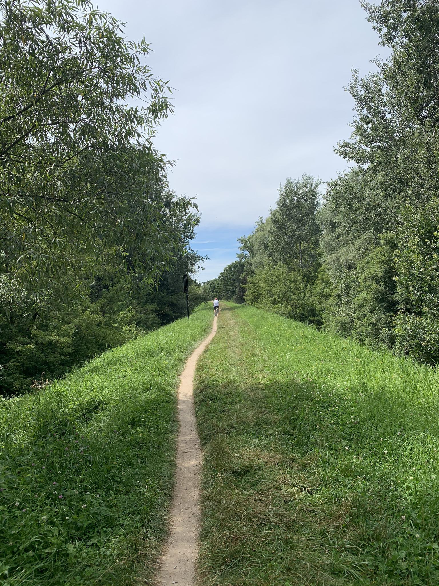 Die 11 Schönsten Wanderungen Rund Ums Rezerwat Ławice Kiełpińskie | Komoot