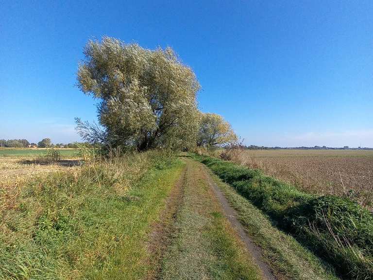 Die 9 schönsten Wanderungen rund um den Chojnowski Park Krajobrazowy