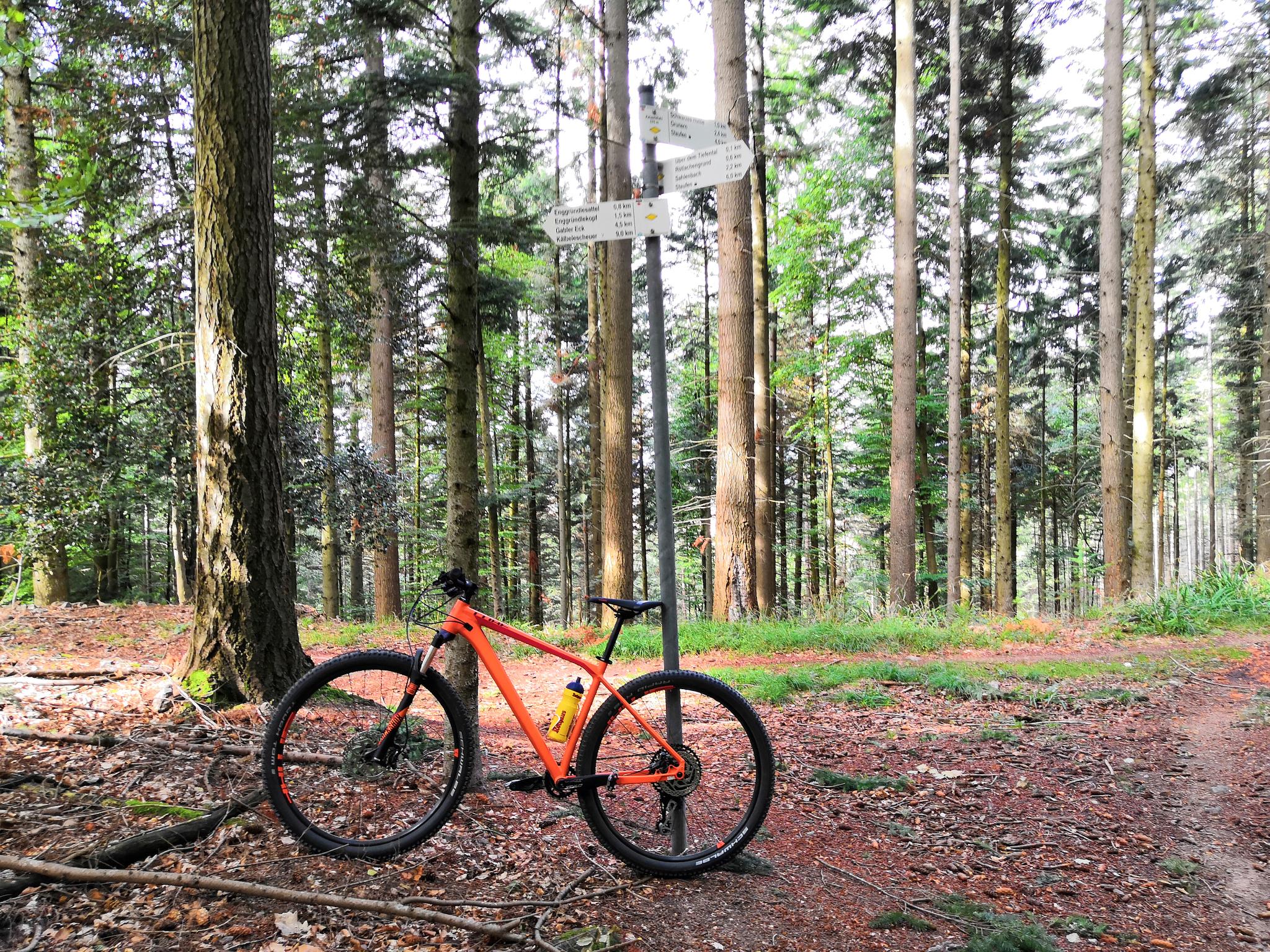 dartmoor mountain bike trails