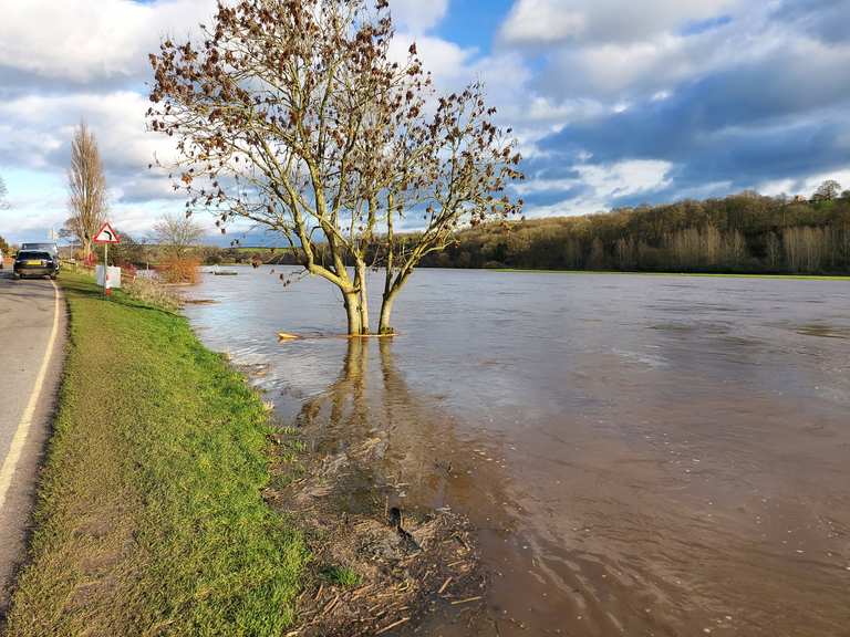 I 20 percorsi per bici da corsa migliori nelle Midlands Orientali komoot