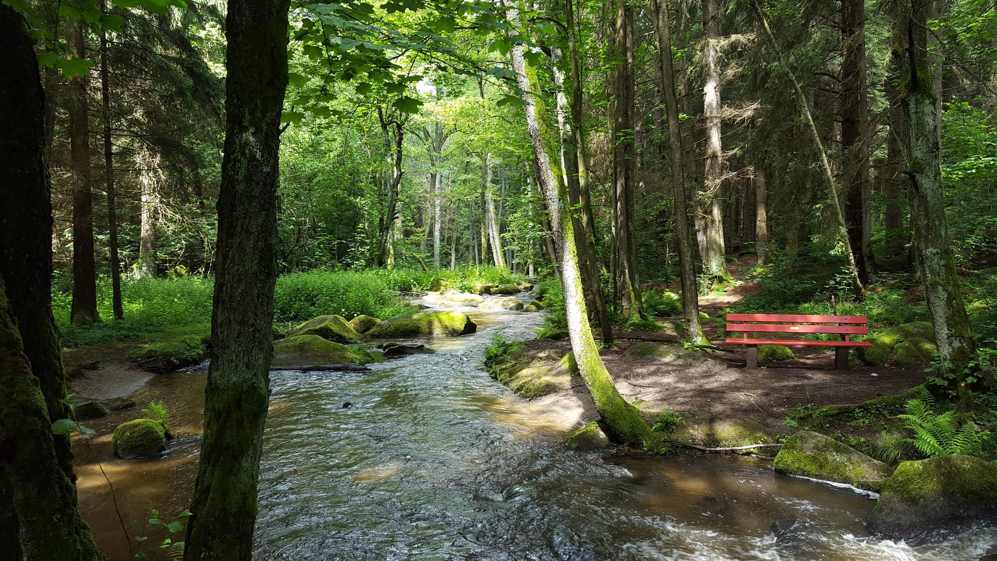 Die 10 Schönsten Wanderungen Rund Um Weiden In Der Oberpfalz | Komoot