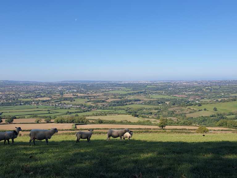 Top 9 Hikes and Walks around Newton St Loe Komoot