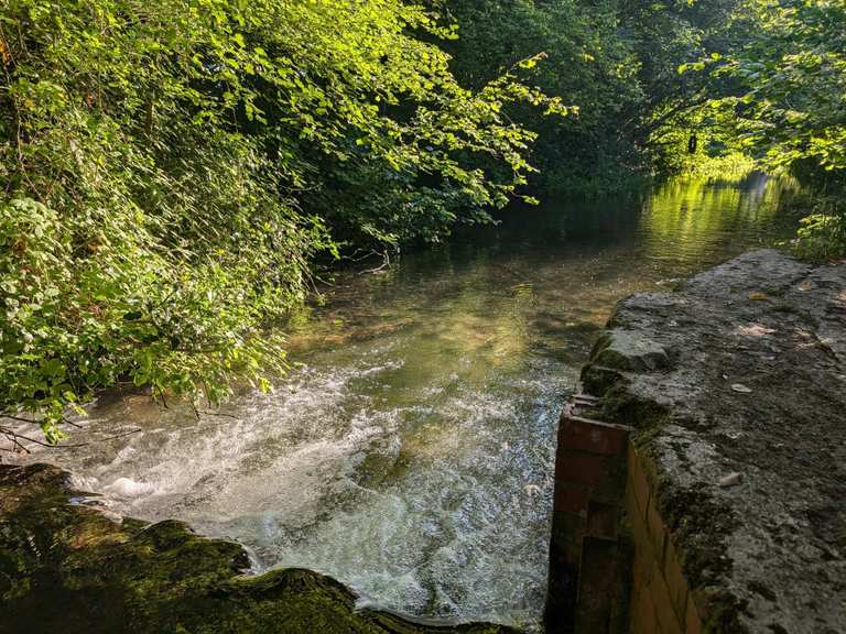 Attractions and Places To See around Old Basing And Lychpit - Top 20 ...
