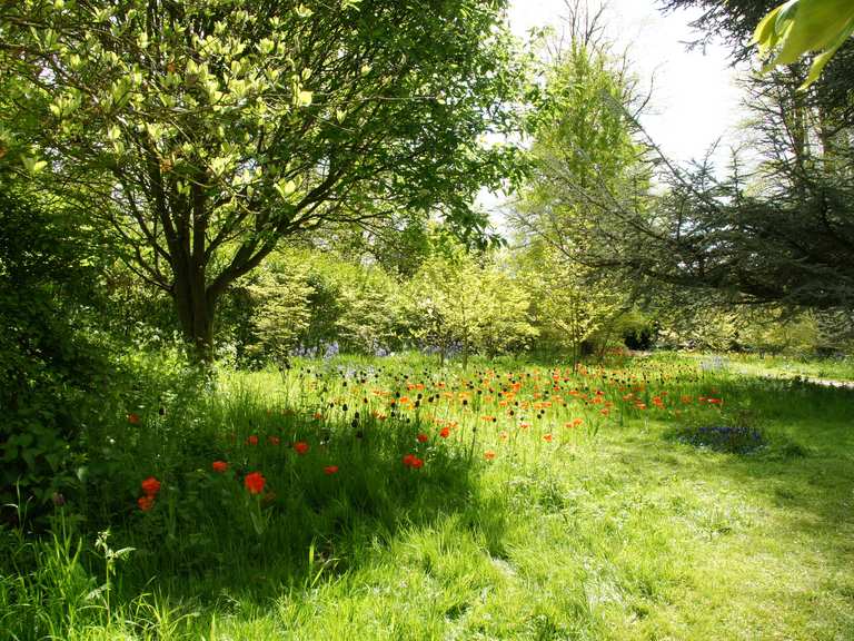 The best walks and hikes around Swindon | Komoot