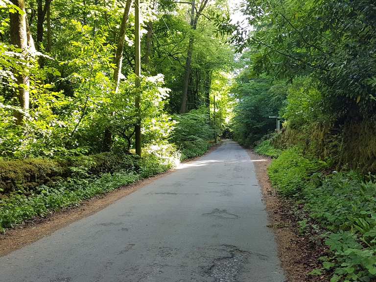 Top 18 Bike Rides and Cycling Routes around Nailsworth Komoot