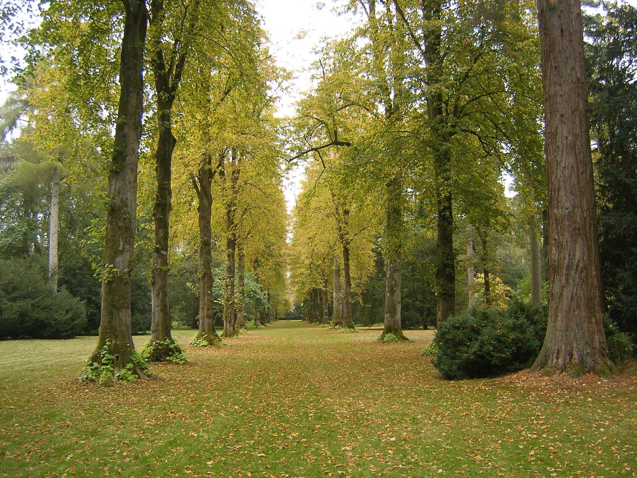 Top 7 Hikes and Walks around Malmesbury Komoot