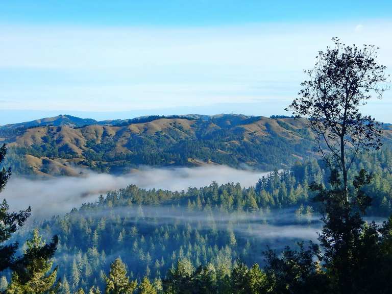 Top 20 Most Beautiful MTB Trails in California Komoot