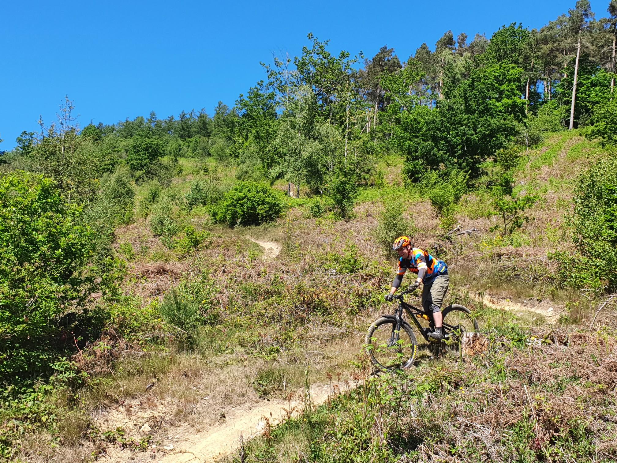 Mtb trails midlands sale
