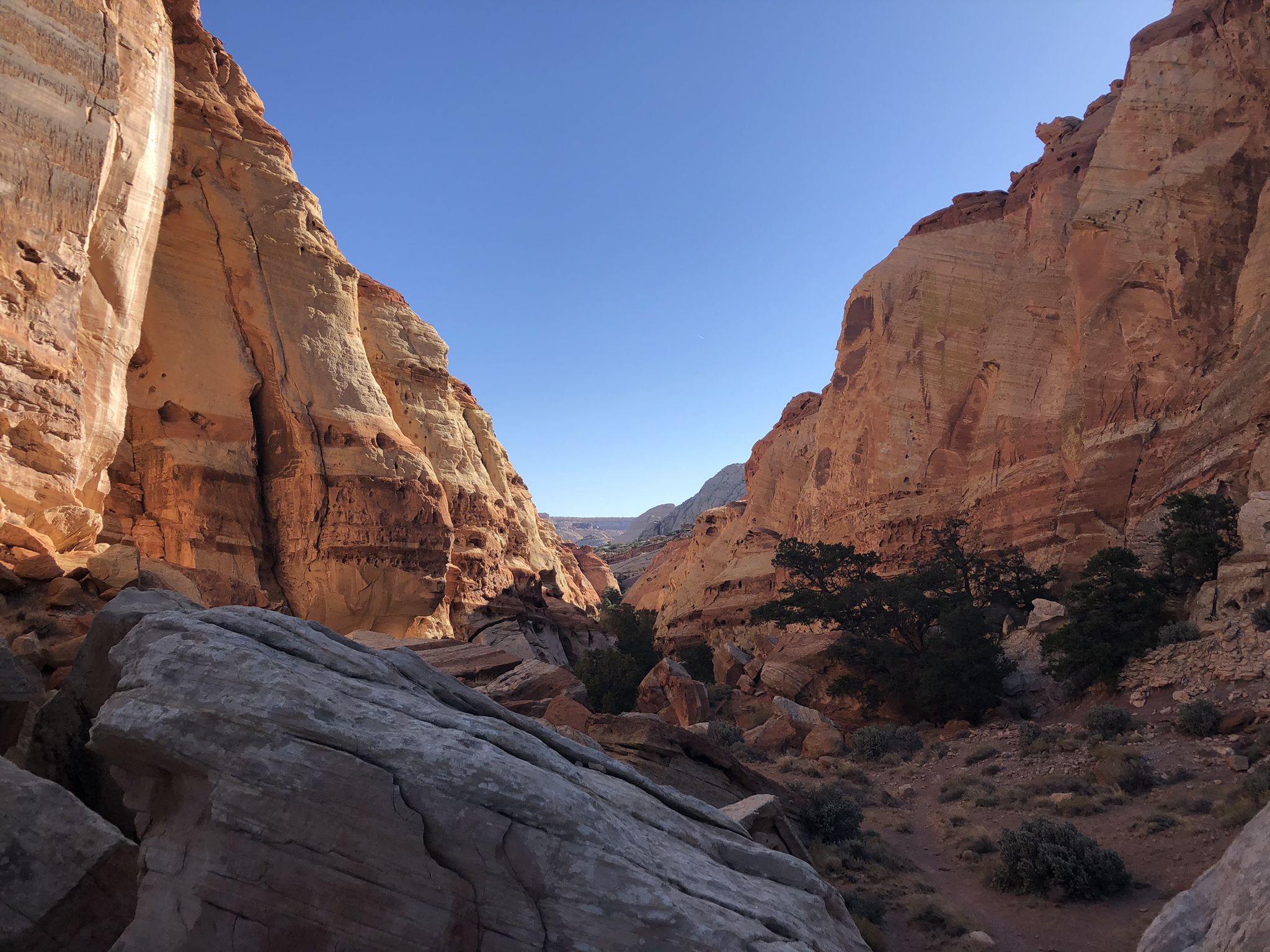 Hiking trails capitol reef national park best sale