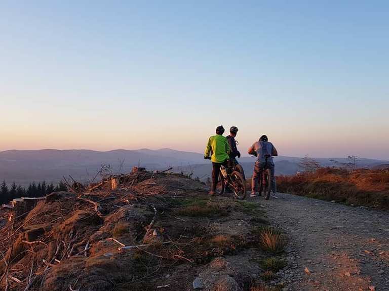 mountain bike trails north wales