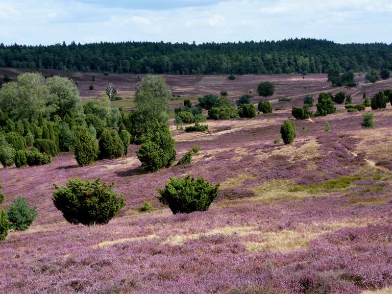 46 km lüneburger heide fahrrad