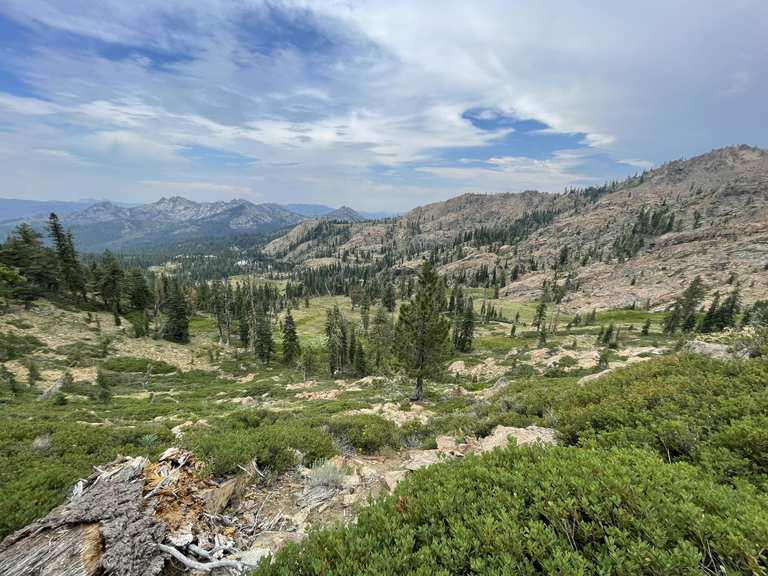 Top 10 Hikes and Walks in Trinity County | Komoot