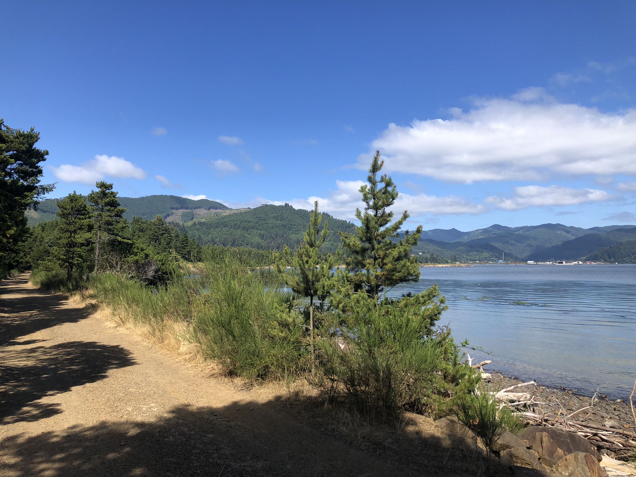 Top 20 Hikes and Walks in Tillamook County Komoot