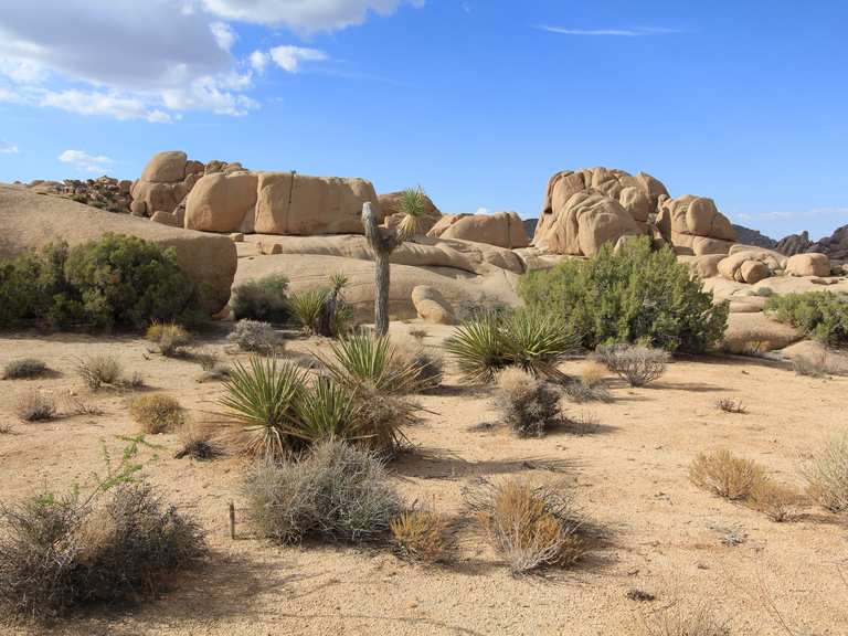 The best walks and hikes in Riverside County | Komoot