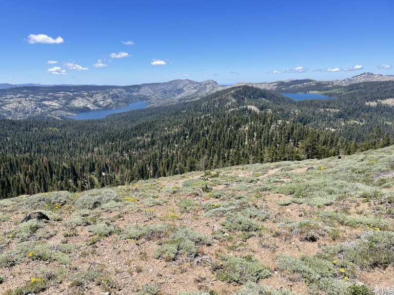 The best walks and hikes in Nevada County | Komoot
